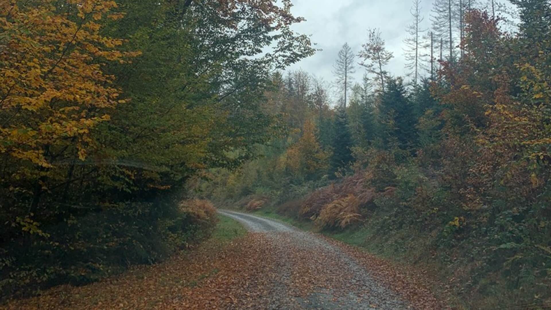 Betreuung Beerdigung Beinhauer